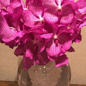 Meet your Posher, Gladys